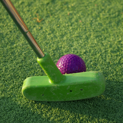 mini golf Mini Golf Rentals