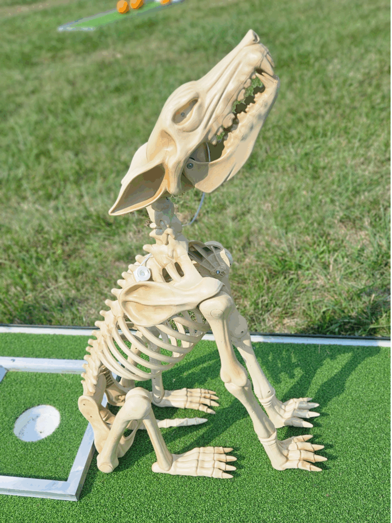 Portrait Mini Golf