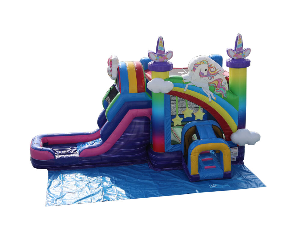 Unicorn Rainbow Combo WetDry V SL include ground Cover） 1 Princess Birthday Party Ideas Your Toddler Will Love