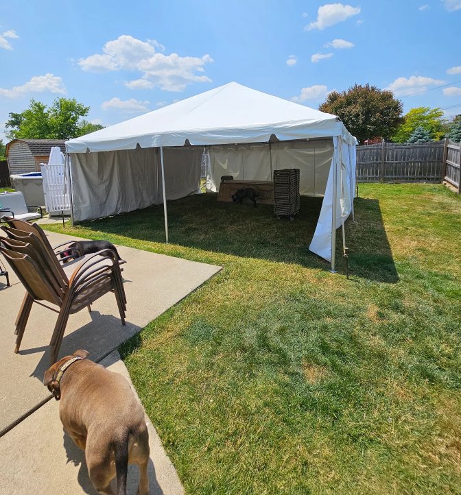 web story a 2 Last-Minute 4th of July Party Rental Tips