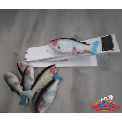 Updated20Website20Photos20 202026 07 06T154848.121 1783367432 Penguin Fish Fling Game Rentals